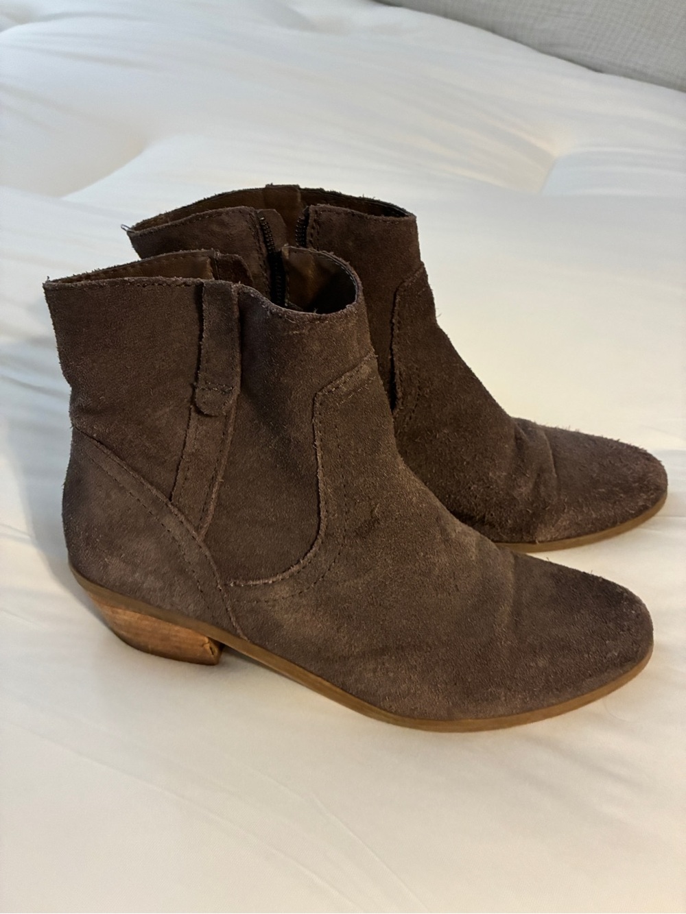 Steve Madden Suede Ankle Booties - Dark Brown